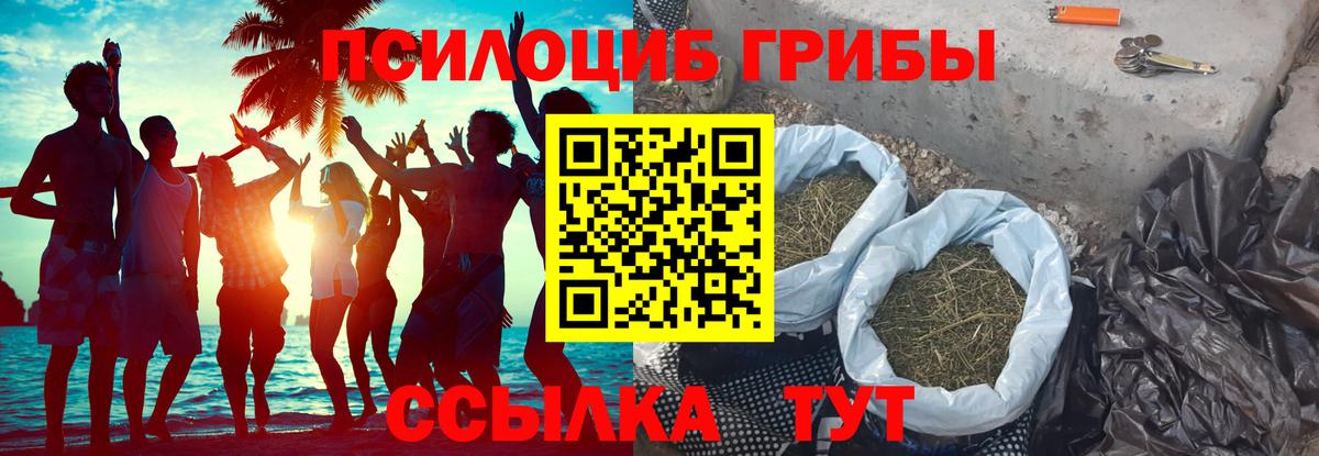 Галлюциногенные грибы GOLDEN TEACHER Россошь